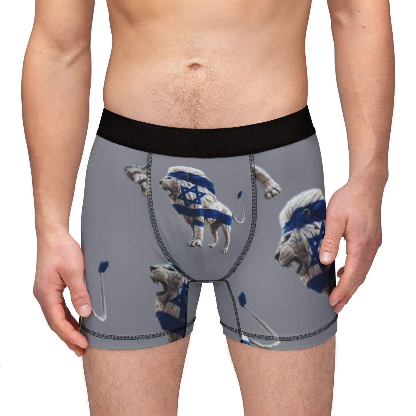 Zionist AF Lion Men's Boxer Briefs