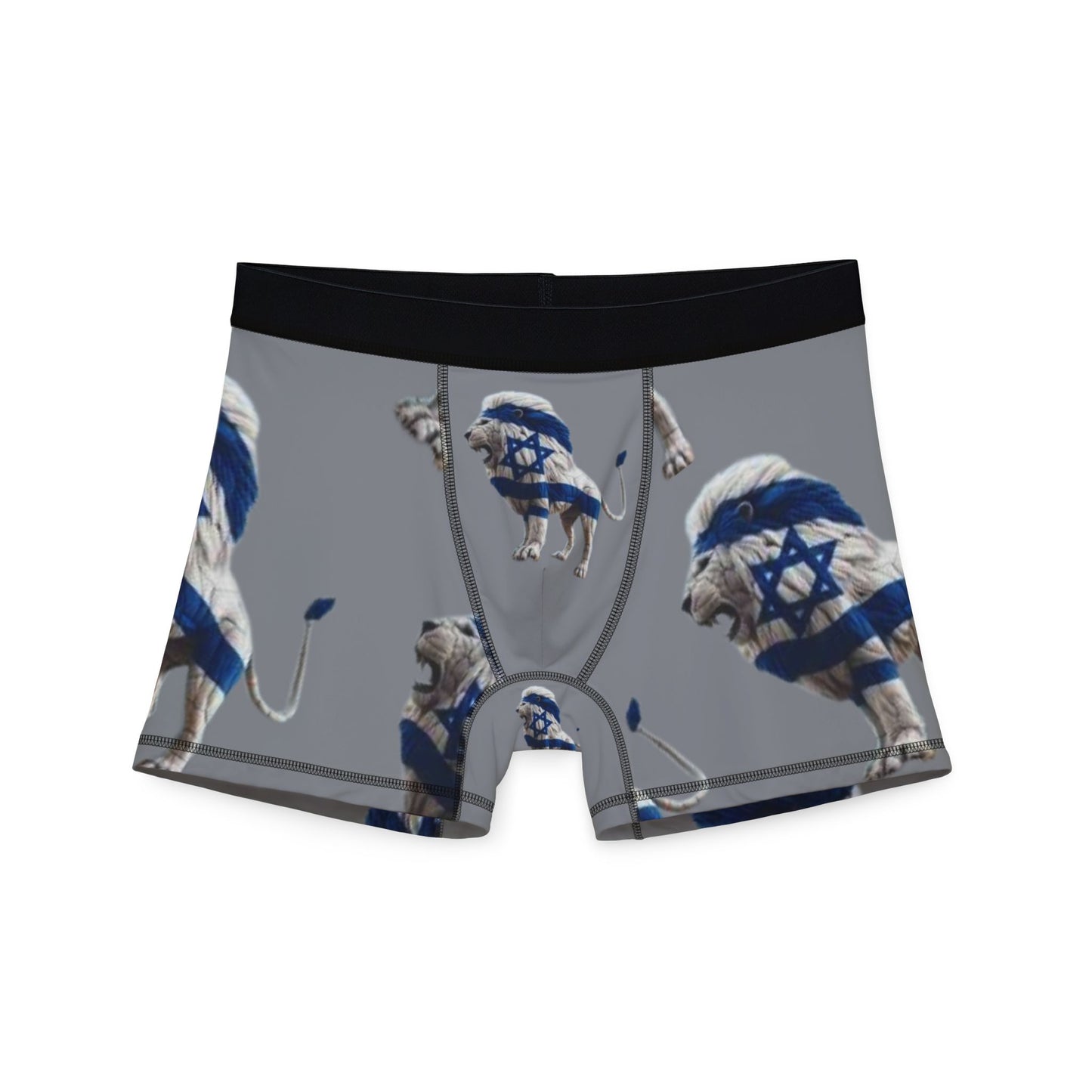 Zionist AF Lion Men's Boxer Briefs